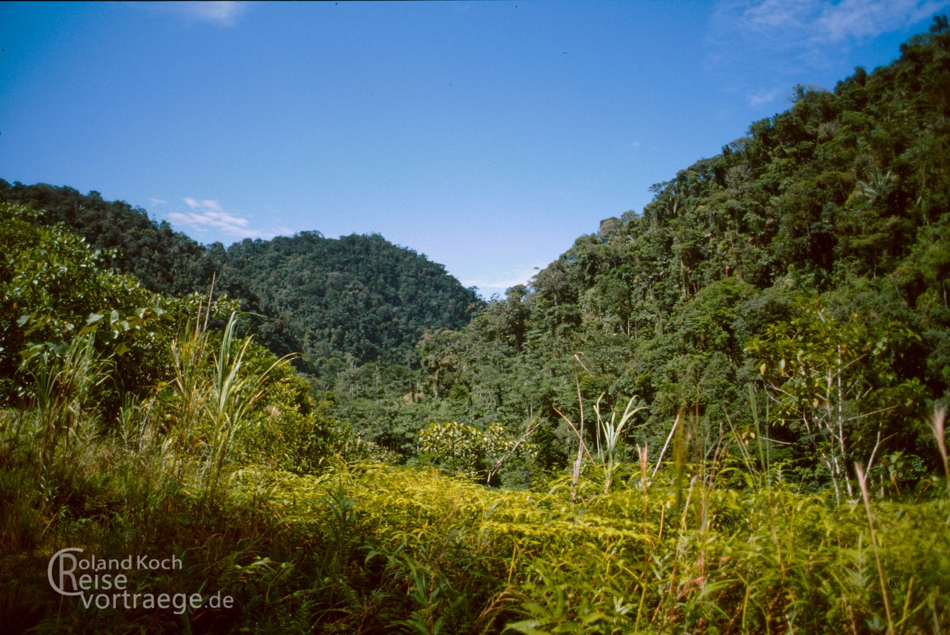 Marokko - Ecuador - Yatunyacu Bergregenwald